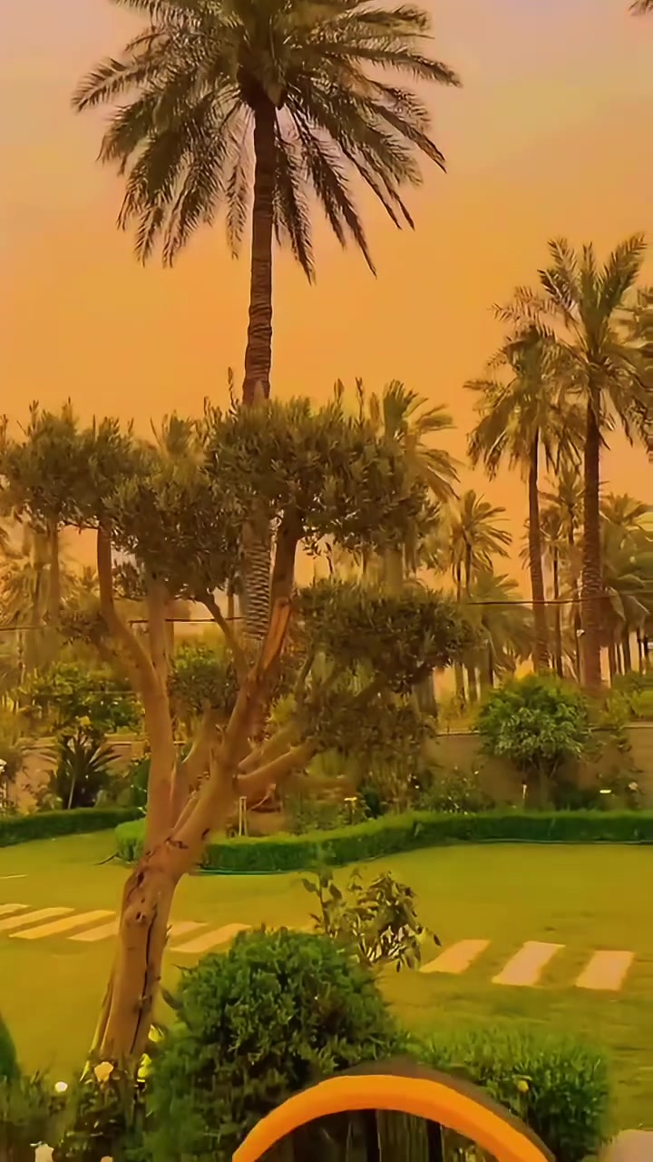 مروحة تعيشك جو 😉


**إذا كنت صاحب هذا الإعلان وتريد حذفه لأي سبب، رجاءا أرسل رسالة إلى الدعم الفني**