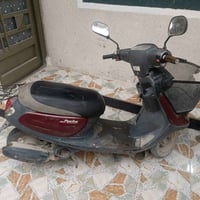 منغولي • جاهزه • الشبانات