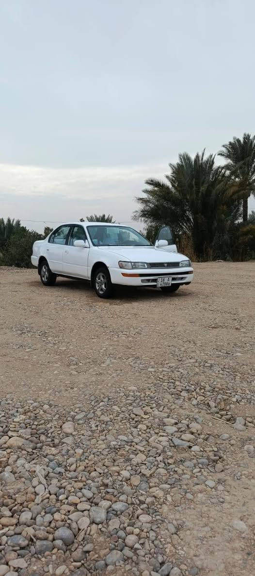 سلام عليكم سياره كورلا للبيع رقم بابل 18انكليزي مشروع وطني شرط تحويل ثاني يوم سنويه  2029تخم تاير حداديه جديده كهربائيّات كله شغاله كير ومكينه مكفولات سياره جاهزه دوشمه جديده دشبول مصبوغه عام جماليه مكفوله من الكص ونقل جثه والكلبه والعيب شرعي والضربه القويه عنوان واسط كوت سعر 53ورقه وبيه مجال شراي يتصل وبيه خير ويدلل ***********📞📞
