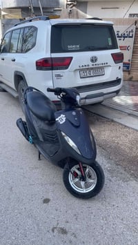 ماكس عدله • بوشة ٤٩ • سكنس