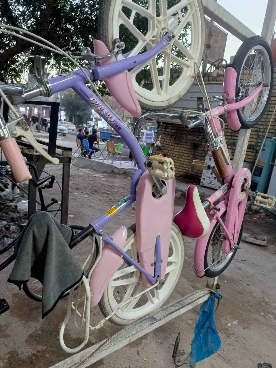 السلام عليكم بيسكلات باله وجديد شركه مرغوبه *********** العنوان ناصريه سومر
