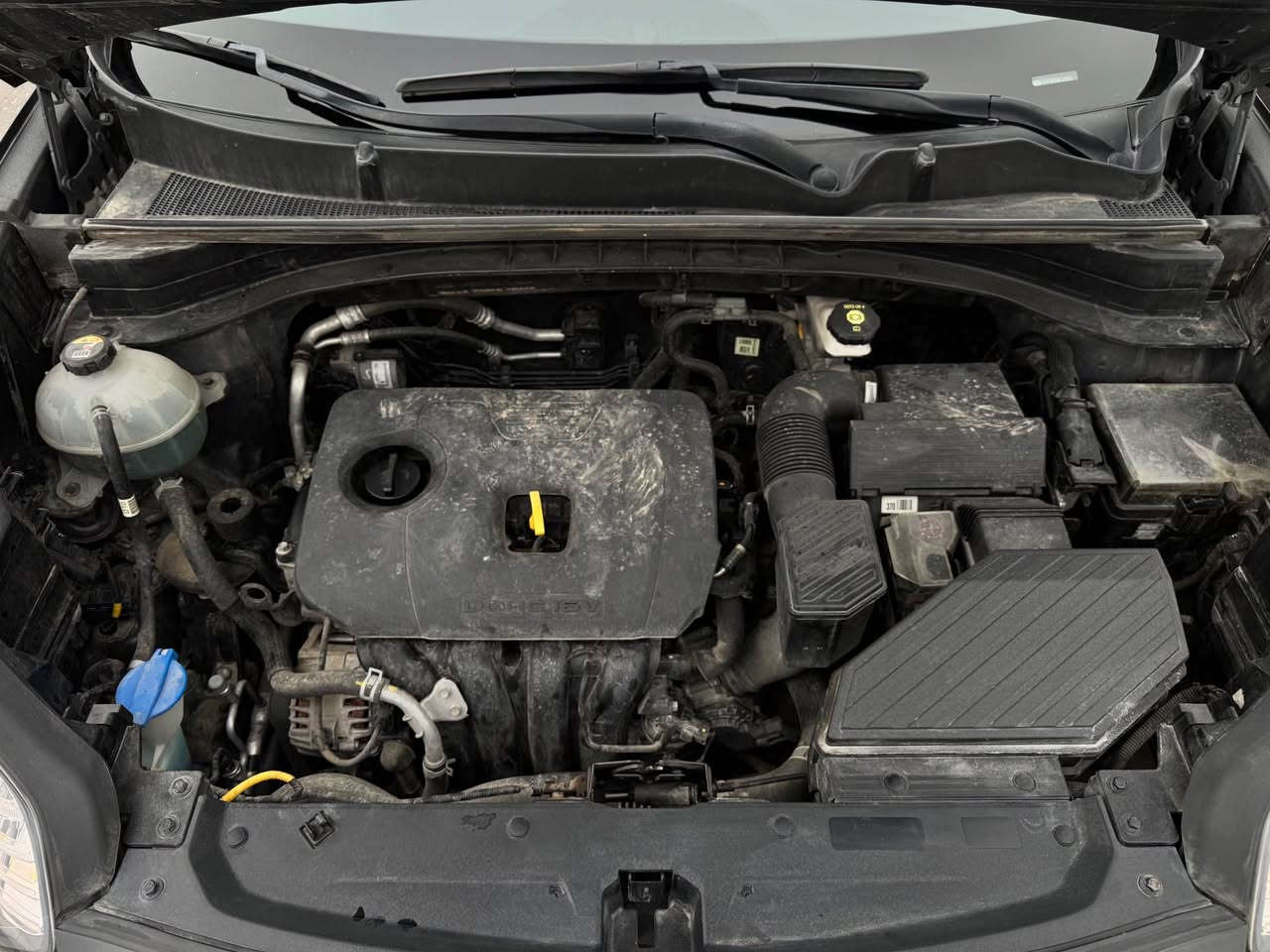 سپورتاج ٢٠١٩ خليجى 
سه ياره كه زور زور تازه يه شوخت و چاڵ و كرانه وه ش به شه رت 
گيرو مه كينه به شه رت بڕغوى نه كراوه ته وه 
پانوراما و كوشن جلد و ٥ ويل كه پ
چوار تايه ى لۆکى له ژيرايه 

سعرى ١٧٩$ مه جال 
 
شوين سلێمانى 
☎️***********
*********** السليمانية, العراق
