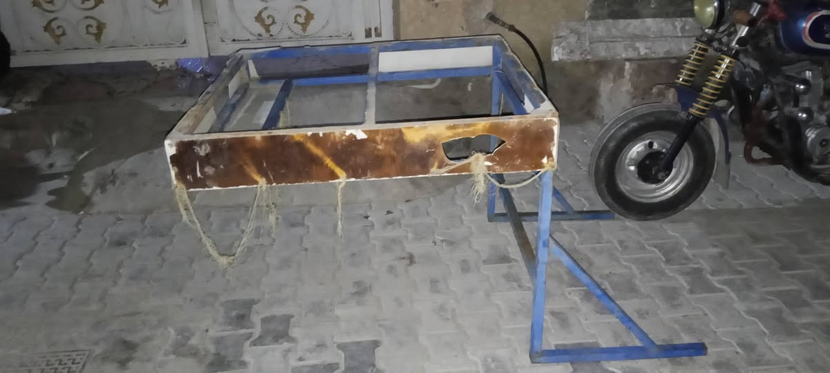 للبيع قمريه ستوته ***********
