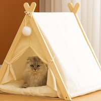 بيت قطط • ٨