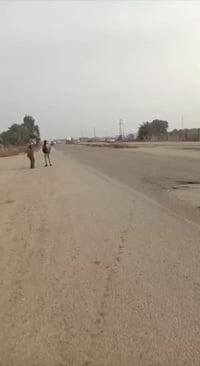 بطع للبيع 2004 اوراق اصولي للبيع او مراوس بستوته الخاص. مفتوح وهاذه رق...