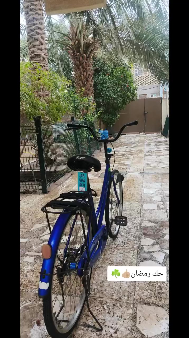 سلام عليكم شباب بايسكل لبيع أو مراوس بايسكل لو موبايل زين مديل 19 نضيف البايسكل شوفت عينك المو شراي يعبر المنشور رجاءا


**إذا كنت صاحب هذا الإعلان وتريد حذفه لأي سبب، رجاءا أرسل رسالة إلى الدعم الفني**