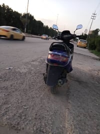 فراشة • فحل • يحتاج تصليح