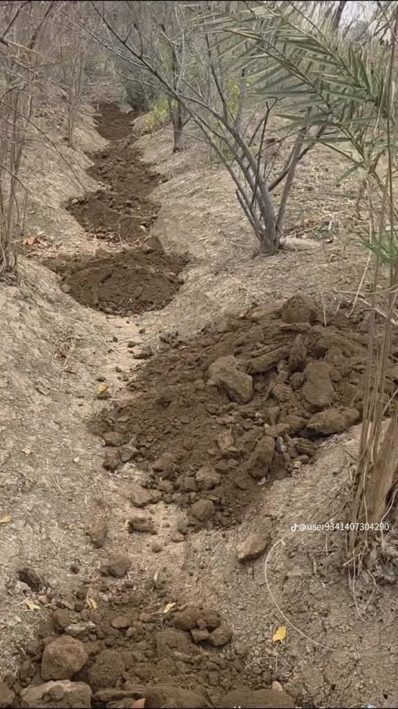 سلام عليكم يوجد كادر لتنضيف الحدائق وكد سواجي وتقليم اشجار وتنضيف بيوت باسعار مناسبه الستفسار *********** يوجد واتساب
