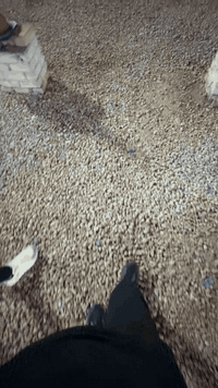 ٥٠٠ للبيع اي ستفسار ***********
