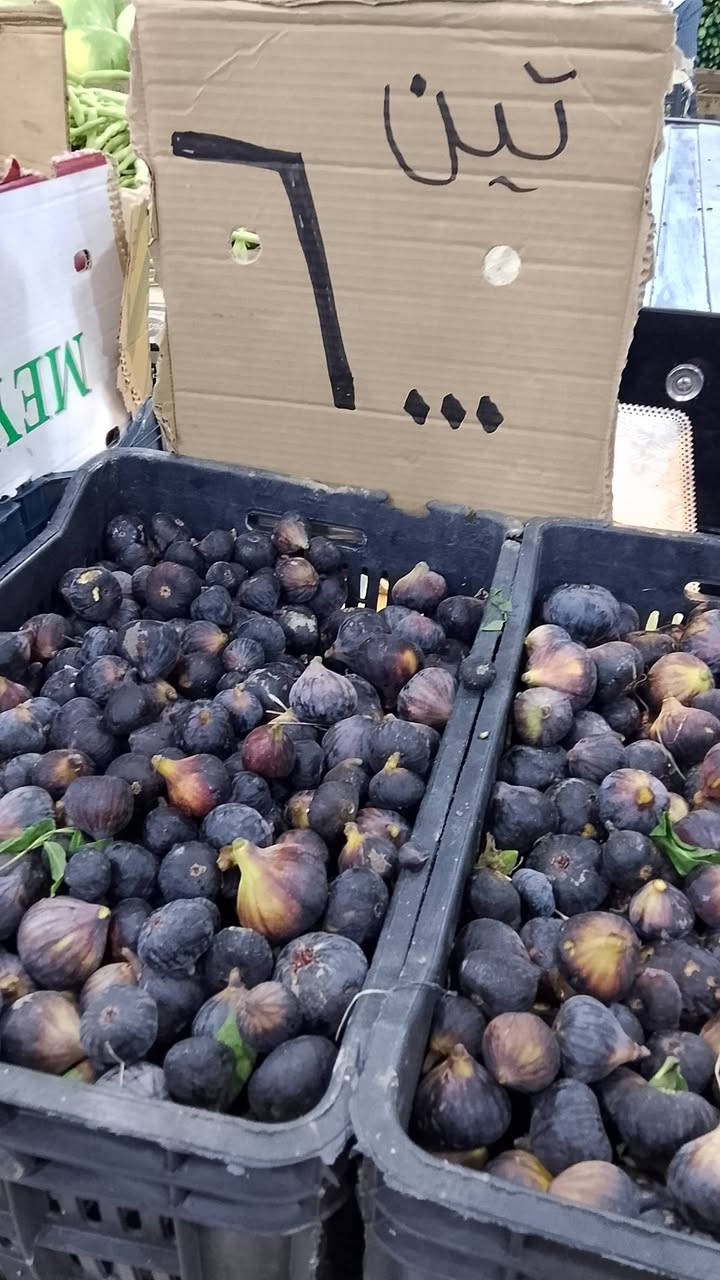 🍈❤️ التين والرمان وصلن فرش!
ألذ تين وأحلى رمان، طازة وجودة ممتازة. 🌿
💰 أسعارنا جوه سعر السوق، حتى تاخذ أفضل جودة بأفضل سعر.للطلب والاستفسار راسلونا، والتوصيل متوفر لحد باب البيت. 🚚‏‪***********‬‏
: #تين #رمان #فواكه_طازجة #أسعار_مميزة #جوه_سعر_السوك #توصيل #بعقوبة #ديالى #اطلب_هسه #فرش 🍈❤️
