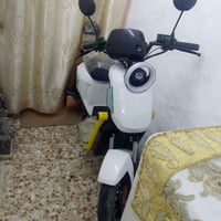 مراوس • جديدة • اسبوعين