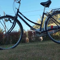 باسكل ياباني • حله شارع ٨٠