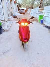 دراجة فراشة • فحل • بابل الهاشميه السياحي