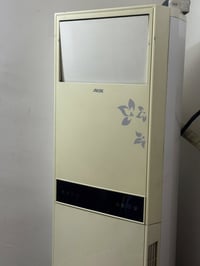 سبلت • طنين • بواري مكسور