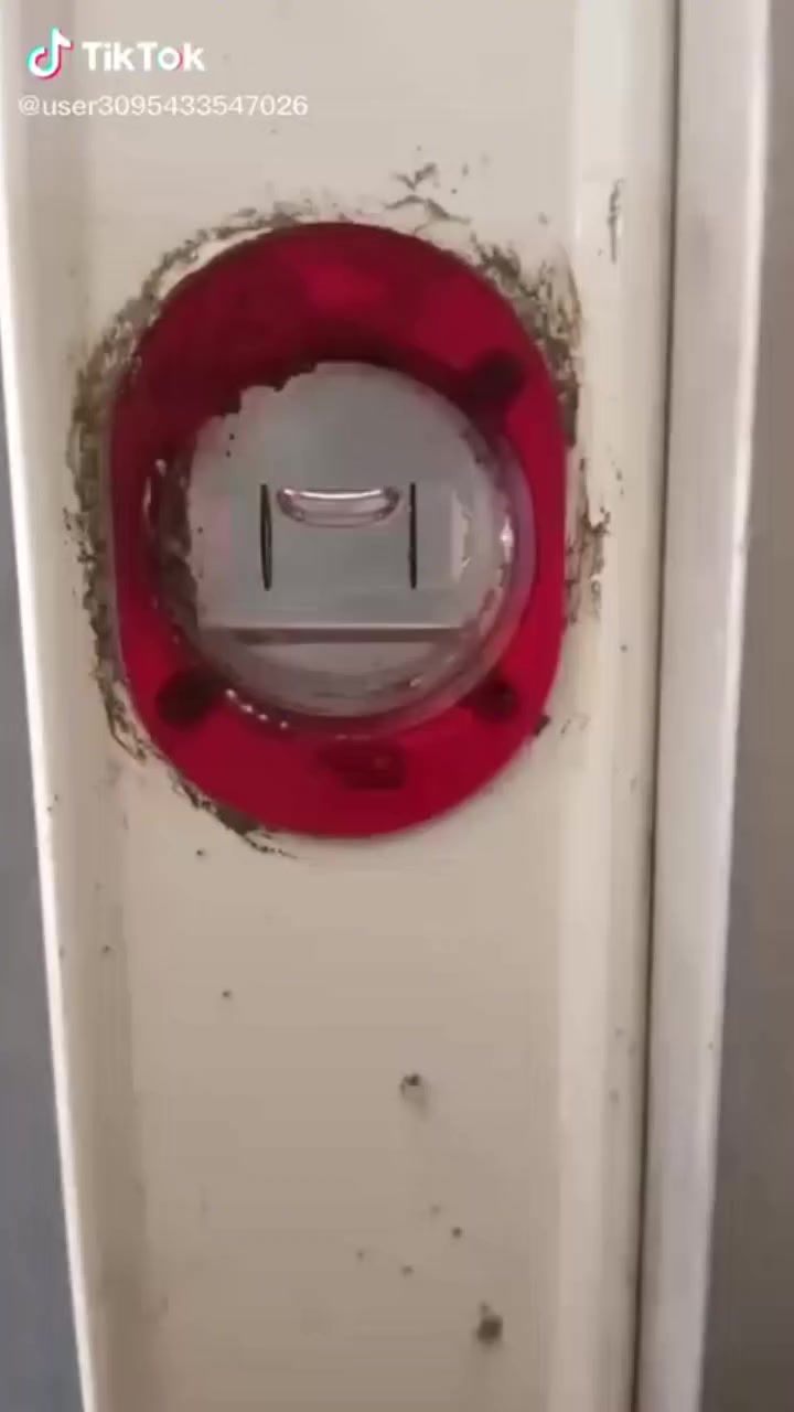 لباخ متفرغ حاليآ شغل درجه اولى بغداد فقط ***********
