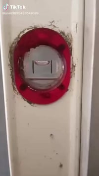 طباخ • متفرغ • بغداد