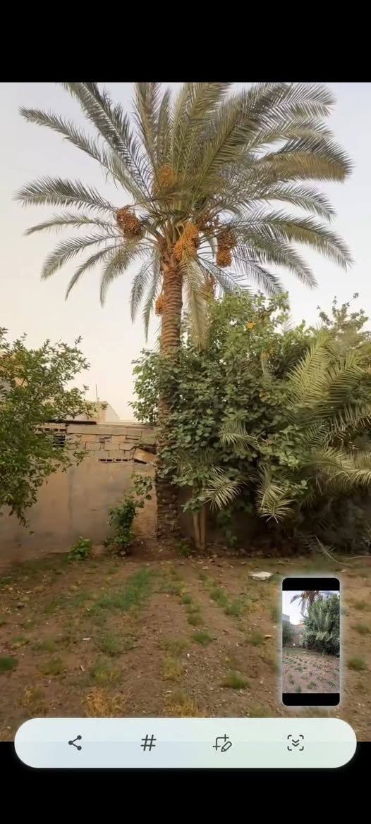 ‎0790 283 4700
بيت للبيع قاطين باقي بس تقفبل شبابيك وكهربائيات يعني يحتاج فقط ٦ مليون يجهز 
خارطه حديثه مودرن 
الطابق الارضي / طابو حجه مساحه 260 متر
حديقه كبيره + كراج سياره +غرفه +استقبال + صاله كبيره+ مطبخ بارد كبير مؤسس غاز دفن مع مفرغات صاروخي   +طبخ حار مع منور خاص مؤسس غاز دفن مع مفرغات صاروخيه اخرى ايضا.
الطابق الثاني /غرفه نوم + صحياة سويت vip + صاله +مطبخ +سطح سيراميك حراري درجه اولى 
هاتف ‎0790 283 4700
الفرع خلف مدرسه تل الزعتر 
خلف المجمعات
