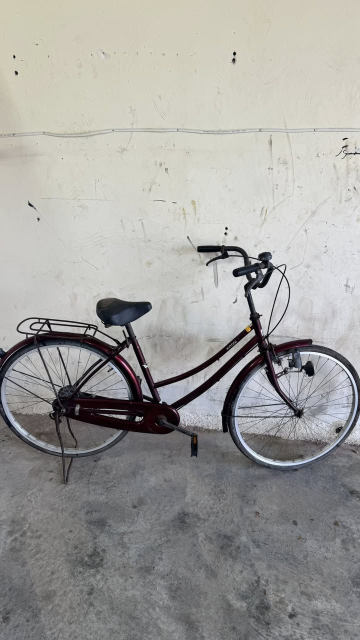 كلهن ياباني واسعار مناسب ***********
