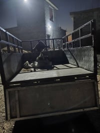 ستوته • شباب
