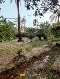 مزرعة • طابو زراعي • منطقة السياحي