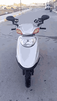 سبيسي ياباني • كفاله عامه • زوريجات