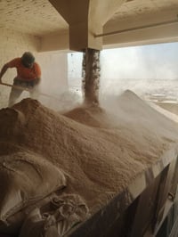 جص الكرمه الجزيره ع فحص حمل فول جص ع فحص الكميه 150كونيه اذا جص مو زين...