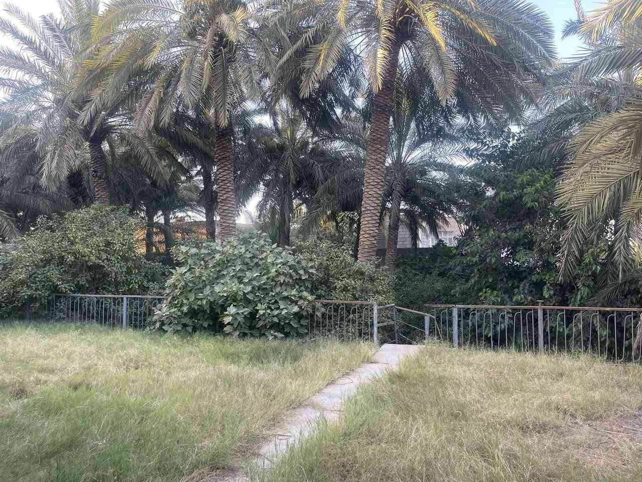 � فرصة استثمارية مميزة للبيع 🌴
📍 الموقع: الأنبار – هيت – حي أمينة

🔹 المساحة الكلية: أكثر من 1000 م²

🔹 الواجهة: 47 متر

🔹 العمق: 23 متر

🔹 جنس العقار: تجاوز

✅ يصلح لـ:

* مزرعة واستراحة عائلية

* تقسيم إلى أكثر من 5 قطع

* بيت مع قطعة أرض وبستان مصغر

🏠 مواصفات المنزل:

* ديوانية

* هول واسع

* غرفتان

* مطبخ

* مساحات كبيرة ومريحة

🏠 الطابق الثاني:

* غرفتان إضافيتان

🌳 تحتوي الحديقة على:

* نخيل مثمر 🌴

* أشجار تين

* أشجار طرنج

* نخيل  بربن

نخيل خيارة 

* وأشجار متنوعة أخرى

🔸 البناء قديم لكنه صالح للسكن

للاستفسار و التواصل ***********
