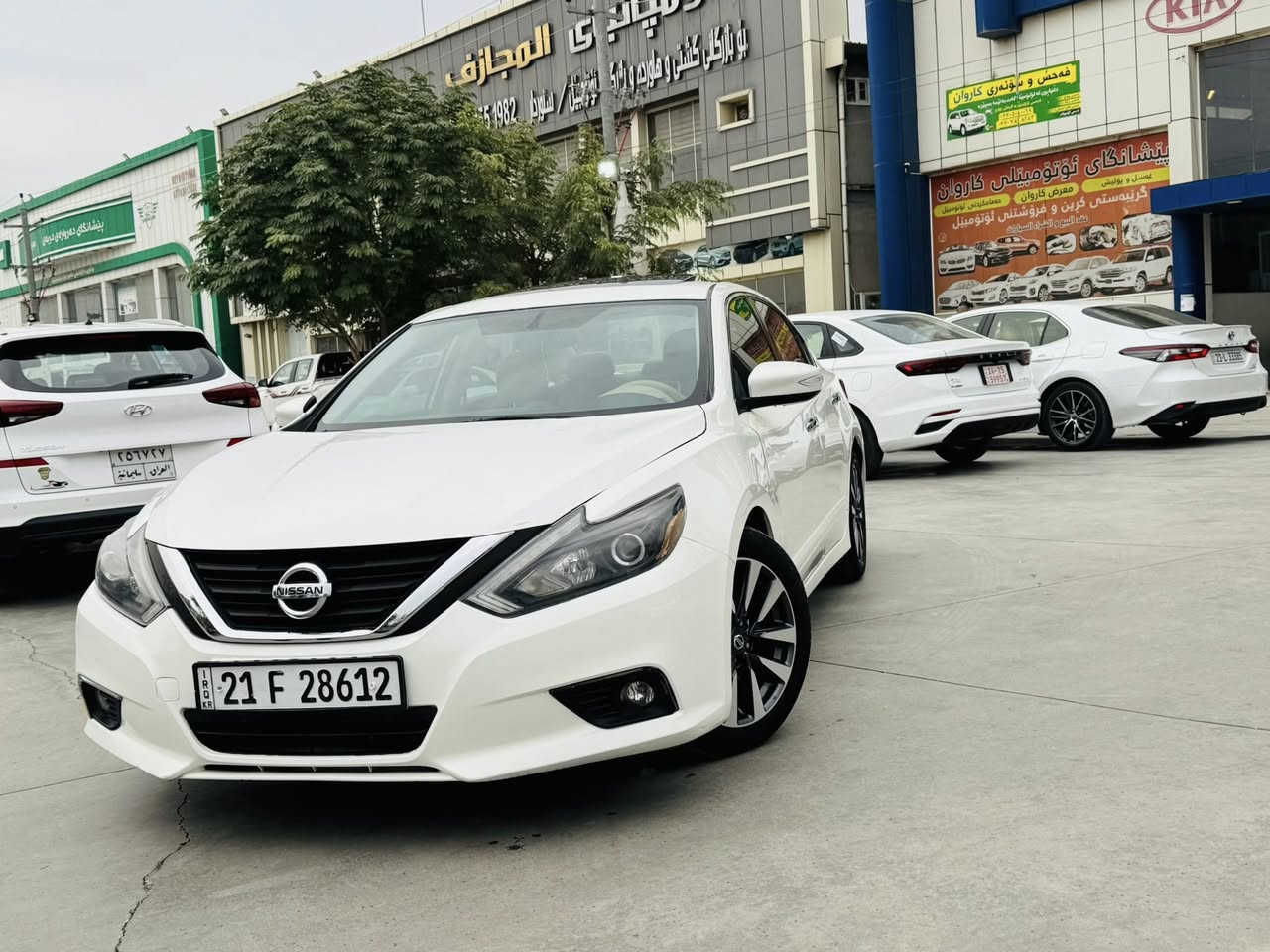 ‏‎‏
‏‎‏﷽🧿

التيما ٢٠١٦

موصفات SL

فول فول 

تةنها يةك چاملغي پيشي لاي ساية ق بوياغة بي ناو گرتن 

دوو جيي بچوك ساردي هةية 

مواصفاتي ناو زةردة 

كوشن جلدة 

كوشن هيتةرة 

دو كوشني پيشي كارةبايية 

سيستمي سماعةي Boos

اوينة ايشارات

شاشة گةورة 

سلايت 

رةقةمو سةنةوي تازة سليمانية 

گيرو مةكينة بيلاد بةشةرت نةگوراو نة كراوة 

نمونة لة جواني 

موشتةري تيل بكات 

***********
