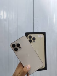 ٢٥٦ • بطارية ٨٣ • فطرين بالضهر