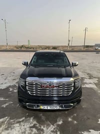دنالي • ٢٠٢٣ • وارد امريكي