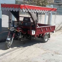 ستوتا • ٢٠٢٤ • سلف
