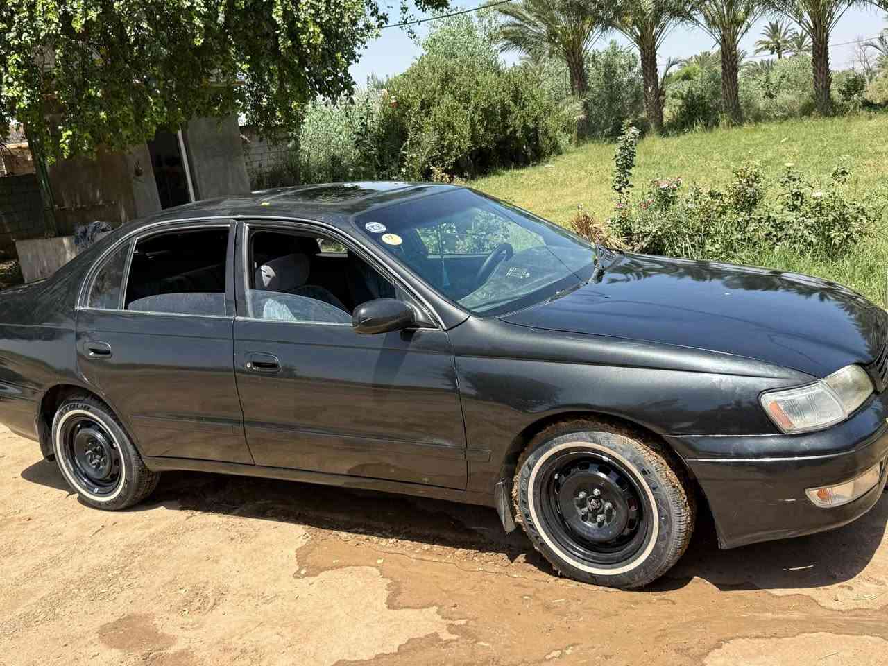 سلام عليكم كورلا ( فرخ بطه) سياره  جاهزه مكفوله كفاله عامه مصبوغه جماليه مكينه ١٨٠٠ تحويل مباشر
السعر ٥٥ وبيه مجال بسيط تفاصيل اكثر
***********
سلام عليكم كورلا ( فرخ بطه) سياره  جاهزه مكفوله كفاله عامه مصبوغه جماليه مكينه ١٨٠٠ تحويل مباشر
