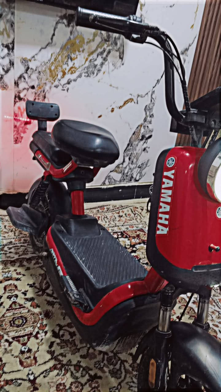 درجةحجم 14للبيع أربع بطاريات4شراي يجي خاص السعر 300 و بيهه مجال بسيط


**إذا كنت صاحب هذا الإعلان وتريد حذفه لأي سبب، رجاءا أرسل رسالة إلى الدعم الفني**