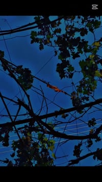 موتور • للبيع