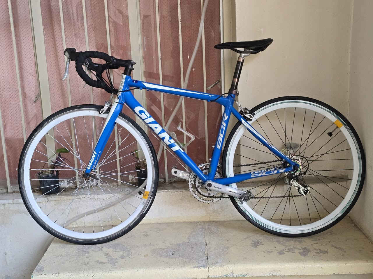 سلام عليكم 
دراجة سباق ماركة جينت 
بالة صنع تايوان 
فريم المنيوم s
سستم شيمانو 8×2
ماشة كاربون 
ويالة زوم طرب 
نظافة مثل ما موضح بل فيديو 
سعر 280 (بيع فقط) 
***********
