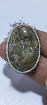 حجر سليماني • طبيعي