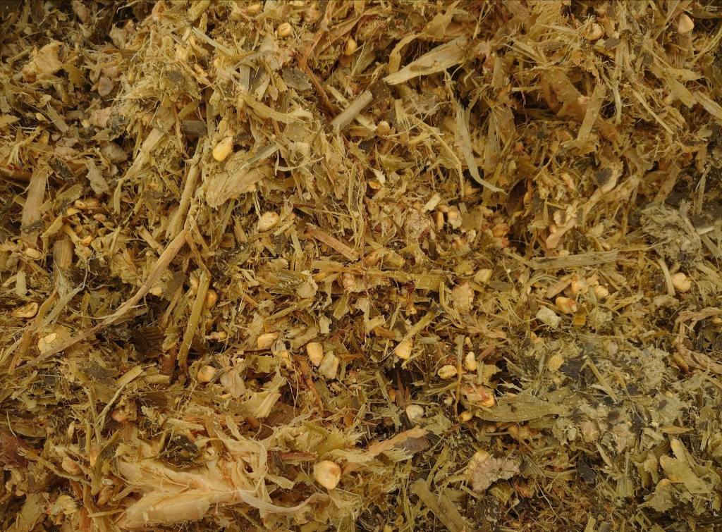 گوزيندار الاولى في العراق والوطن العربي يتوفر لدينا سيلاج الذره محصود ومكيس وفق المواصفات العالميه وباجهزه حديثه وبضمان جودة المنتج وباكياس وبالات للحفاظ عليه من العفن والتلف للاستفسار مراسلة الصفحه او الاتصال على الأرقام التالية 
***********
*********** 
عنوان الشركه السليمانيه حلبجه الشهيد طريق هورمان بغداد, العراق
