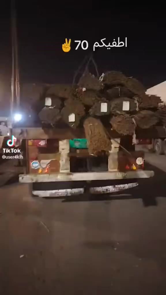 كتروز مديل الفين و2 محرك الفين وعشره 46كير 240 سياره جاهز العمل رقم صفر تريد بدون شاصي مكفول وغماره ما بيهه لا معجون ولا صبغ مكان سياره الكوت سعر تصل ***********
