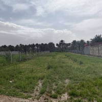 ارض زراعيه • ٣٠٠٠م • سند ٢٥ تحويل