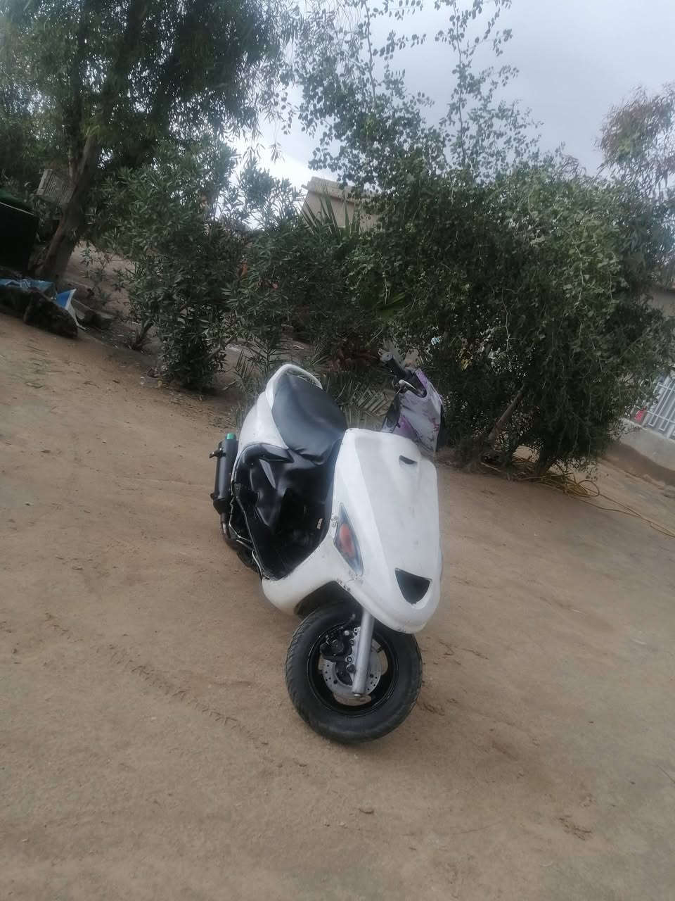 البيع فراشه فحل سعر خاص


**إذا كنت صاحب هذا الإعلان وتريد حذفه لأي سبب، رجاءا أرسل رسالة إلى الدعم الفني**