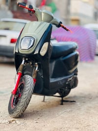 ماكس بوليس • بصرة أبو الخصيب • مجال بسيط