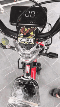 باسيكل شحن للبيع فول مواصفات ٥ بطارية اخو جديد اكو ملاحظه فوك بطارية يكون بلاستيك مسكور بس هذا بيها ول بلاستيك ب ١٠ بس سعرها 250 وبي مجال للطيبين رجاء اذا مو شراي لا تتصل رقم موبايل *********** كل عيب مابي
