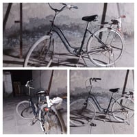 باسكلي • ناصرية • سعر خاص