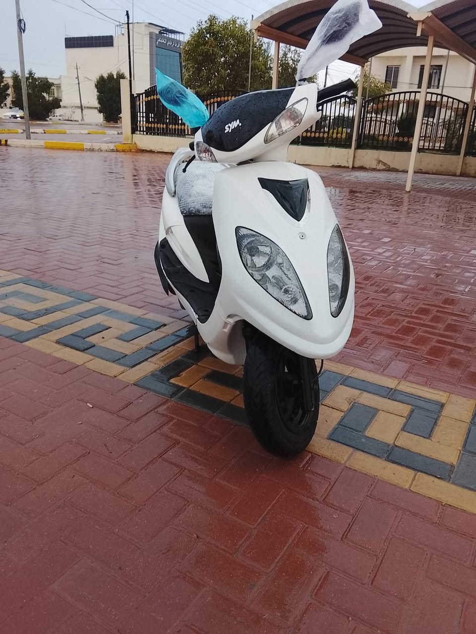 يا اللّه 
للبيع دراجة سايم ابو عيون موديل 2019 مكمركه محرك نظيف فول نعومة كهربائيات كلها شغاله سلف هندر كله شغال دراجه جاهزه ما بيها اي نقص السعر 600 وبيها مجال بسيط،العنوان الرمادي التواصل على الرقم ***********
