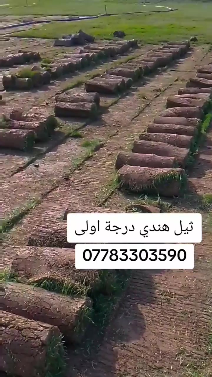 #الاول والاكثر خبرة  في زراعة الثيل الطبيعي في ديالى
زبائننا الكرام نرحب بكم في موسم الجديد
متوفر كافة انواع الثيل الطبيعي 
الثيل الامريكي🌿الثيل الهندي🌿الثيل الايطالي 🌿الثيل الفرنسي
مع كادر مختص يجيك لباب بيت #يختلف سعر حسب محافظة
  وكفاءة عالية
نجهز كل انواع الحدائق
والملاعب والمتنزهات 
والمشاتل ودوائر الدولة
الاسعار تختلف بختلاف النوع
#يوجد توصيل سريع لكافة المحافظات

للطلب او الاستفسار التواصل مع الصفحة او الاتصال على الرقم التالية
 
***********
