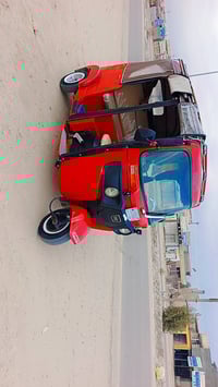 تكتك • مكفولة من الضربه • بابل الحمزه الغربي