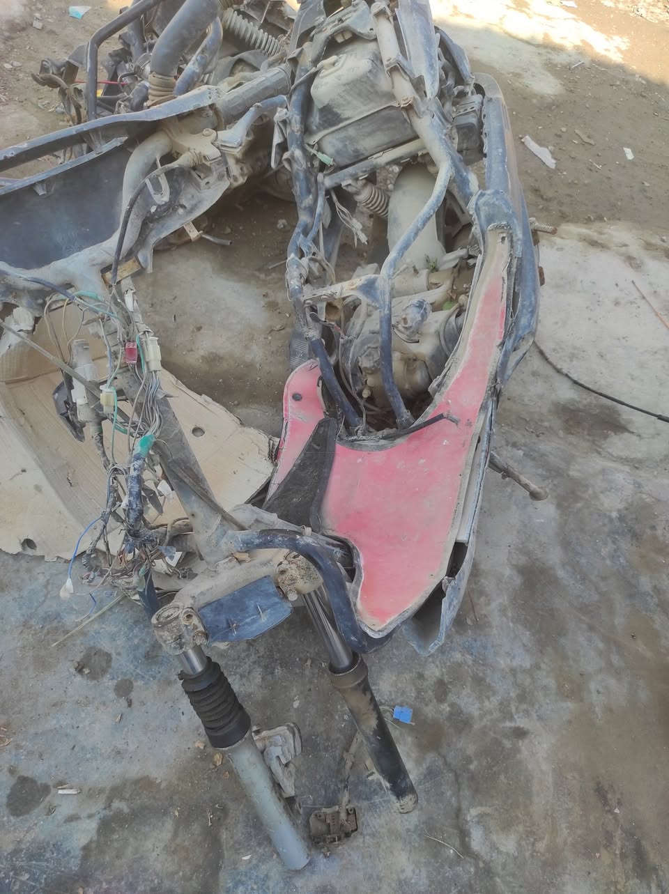 يوحد تفصيخ دراجات فراشه العنوان بعقوبه التحرير ***********
