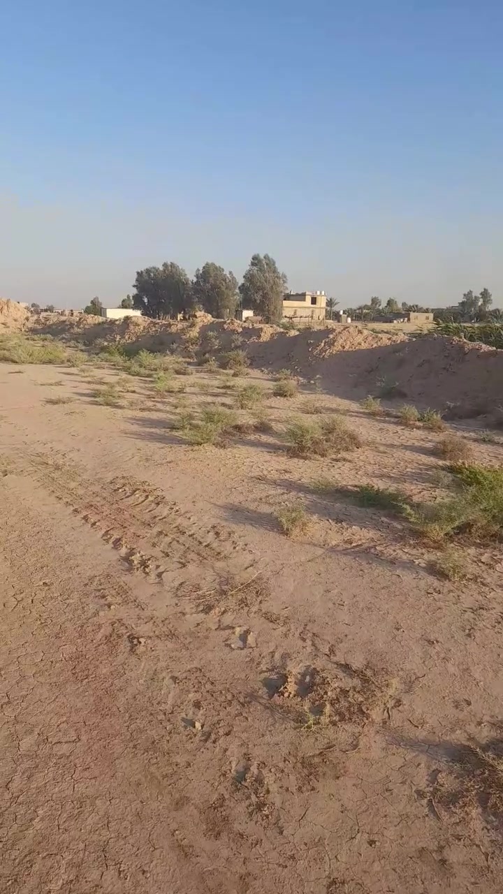 السلام عليكم ارض زراعيه للبيع مساحة ١٢ دونم عقد زراعي عل ١١٧ سلف الأرض بيه ماء اسأله بوري وماء نهر سقي لأرض حلوه تصلح سكن ومشاريع وزراعة مكان الأرض بغداد النهروان ٩نيسان قرية ابا ذر الغفاري وجه عل شارع مباشر *********** *********** وهلا وسهلا بكم وكلشي واضح بل فيديو

