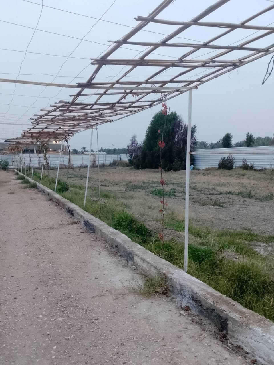 سلام عليكم ✨🚩للبيع دونم بيع مستعجل ✨🚩 
مزرعه طابو زراعي سند 25✨🚩
كل الخدمات متوفره بيها ✨🚩
وتحتوي على غرفتين وصاله وصحيات ومسبح وحديقه اماميه وحديقه خلفيه مزروعه رمان وعنب انواع الاشجار بيها✨🚩
مساحه دونم الوجه 25متر ✨🚩
والنزال 100متر مسيجه كلها ✨🚩
العنوان المسيب منطقه ابو عصافير ✨🚩
باقي تفاصيل اتصل او راسلني✨🚩
‏‪***********‬‏
