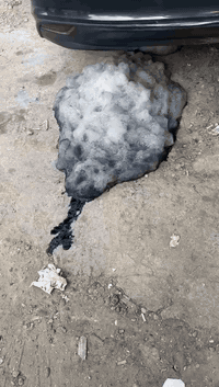 عروضنة مستمرة ،، هذاي الفديوت مختصة بتأخير نمر الكير السيارة بيه طفيةانحلت المشلكة 
 عرض خاص ادمة الماليبو الكروز وجمسي تيران وكوكينس كابتفيا وتراكس جميع الشوفر ليث عام شوفر ليت عام ترافاسس
وجميع السيارات الفوراد. وجميع السيارات الأمريكية فقط . 
للحجز الاتصال على الرقم ***********
اكو خدمةجوال  تنظيف وادمة دخل بيتك يعني انت وبيتك نجي نشوف العطل ونسويللك ادمة دخل بغداد فقط.  لجميع الشوفر ل
للأستفار الاتصال على *********** اتصال وتساب موجود وبل الخدمة 
في هذا الفيديو حل مشكلة دخان التريبو 
وحل مشكلة الخريطة في السيارة
اخواني التزام با ا دمة سيارتك افضل اللك

العنوان. بغداد الدورة قرب مدرسة الفاليق 
الاتصال على الرقم ***********
وحتى يوم الجمعة من الساعة العاشرة ال الساعة السادسة
اعلان عن ادمة السيارت 
الحمدالله والشكر علئ رضا الناس ،،،

الماليبو الكروز والتركس كوينس وجمسي تيران وكابتفيا وترافرس  وجميع السيارات الفوراد 
وجميع الشوفرليت عامة 
تحديد العطل بل الجهاز٠
تحديث السيارة اولالين حسب رغبة الزبون 
برمجه السيارة عل وضع الشركة 
تنظيف حساس الادنفز

تنظيف نوزلات
حل مشكلة دخان التريبو 

تنظيف حجر البيئه

تنظيف الجويتر

تنظيف حساسات الصالنصه

تنظيف حساسات الفي تي

تنظيف حساسات الكم شفات

تنظيف الفيول بم وارجاع الطوفة. عل القياس الصح 

غسل وتنظيف التريو 

غسل الدكشن البارد 

تنظيف البم سنسر 

تنظيف ولفا التبخير 

إعادة برمجة السيارة 

زيادة عزم المحرك 

تقليل صرف البنزين 

فحص البلكت والمحول 

وبي ارخص الأسعار 

العنوان بغداد الدورة قرب مدرسه الفيالق 
متوجدين جميع ايام الاسبوع وحتئ الجمعة ..

للحجز والاستفسار التواصل عل الرقم *********** 

وإليكم اراء العملاء. 

متواجدين جميع ايام الاسبوع. 

من الساعة العاشرة صباحا الي الساعة 

السادسة مساء حتة يوم الجمعة

عل شرط تطلع السيارة ال بتطنش

للأستفار الاتصال على الرقم ***********
ملاحظه اخون الاتصال قبل لاتجي ، 
العنوان بغداد الدورة قرب مدرسة الفاليق
متوجدين جميع ايام الاسبوع وحتى الجمعة
